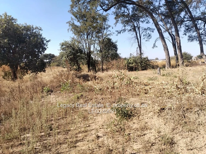 4000m² Galloway Stand — Subdivision Potential & Water