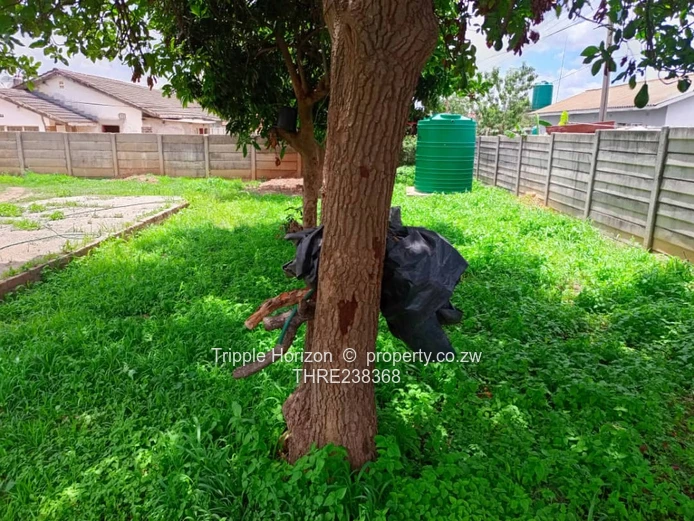 Great Potential! Close to CBD