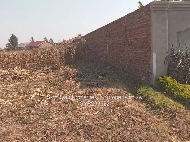 Pomona Stand For Sale