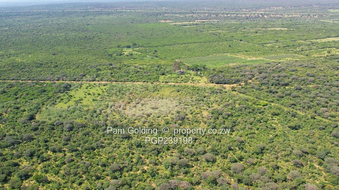 Nyamandlovu 1026 farm for sale