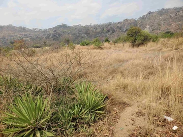 Farm & Agricultural Land