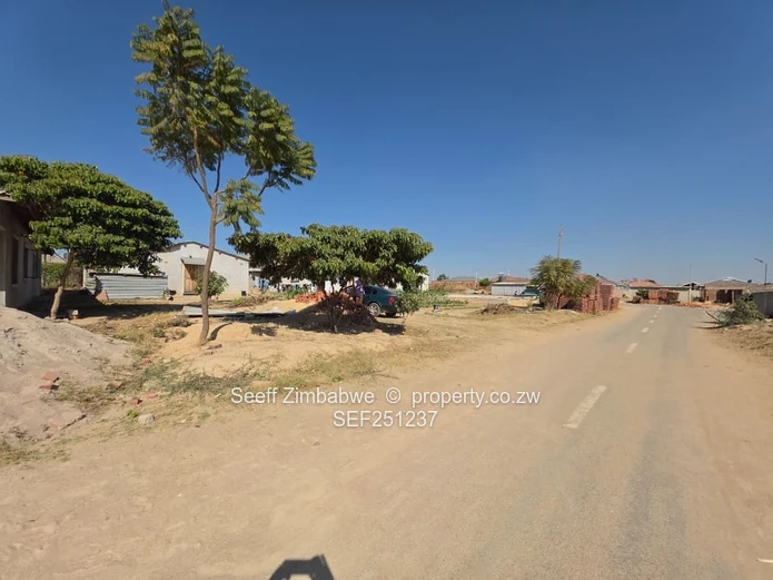 3-Bed Adelaide Park Home with Study, Yard & Water Tank (Sole Mandate)