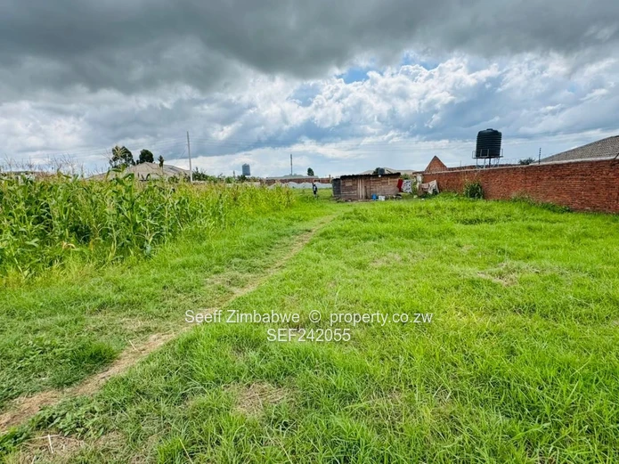 The Canvas for Your Vision:  Prime Stand in Sandton Park