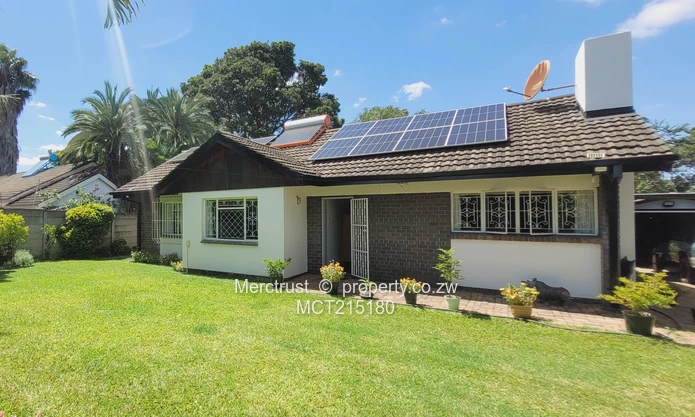 Absolutely immaculate! (Sole Mandate)