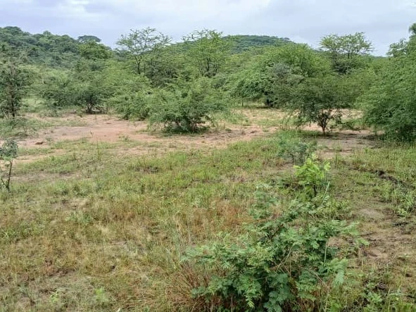 Farm & Agricultural Land