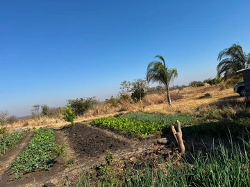 Farm & Agricultural Land