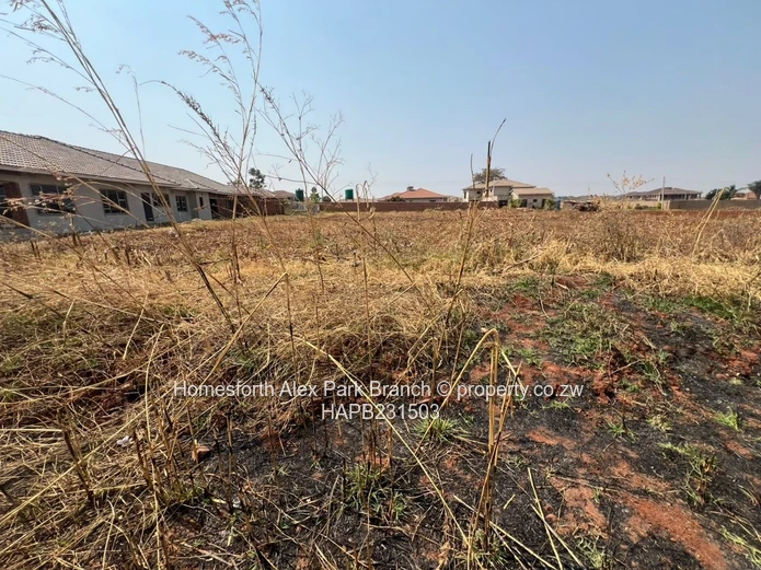 Mt Pleasant Heights Stand For Sale 