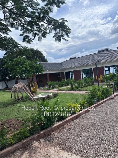 Luxury & Efficiency in Selborne Park