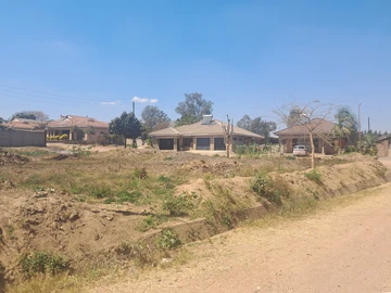 Stands & Residential Land