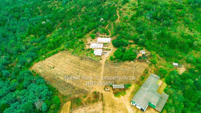 ?? Juliusdale Land Opportunity - PRICED AT $13/sqm