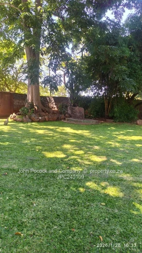 Residential Charm. Commercial Possibility.