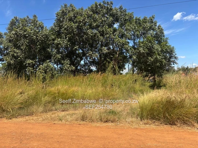 2100m² Knowe Stand — Gravel Road, Trees & Municipal Water