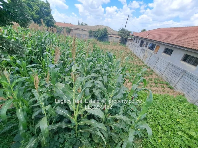 Granary Park Harare –corner stand for sale measuring 569sqm