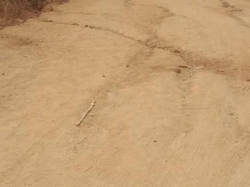 Farm & Agricultural Land