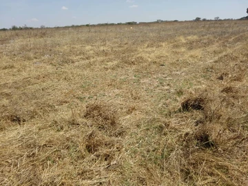 Farm & Agricultural Land