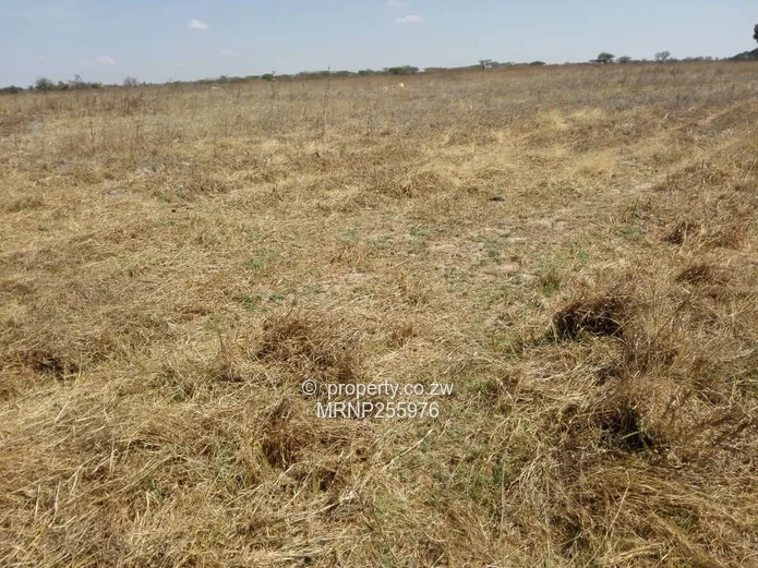 Macheke Plot for sale