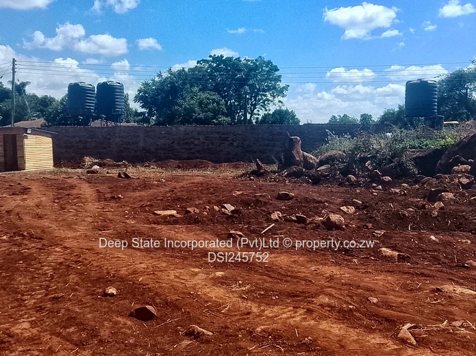 Bluff hill stand for sale  (Sole Mandate)