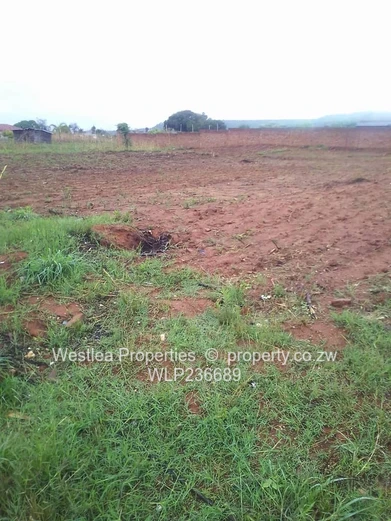 An opportunity not to miss