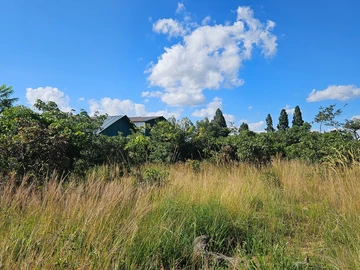 Commercial & Industrial Land