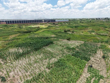 Commercial & Industrial Land