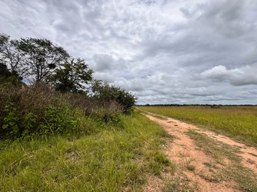 Farm & Agricultural Land