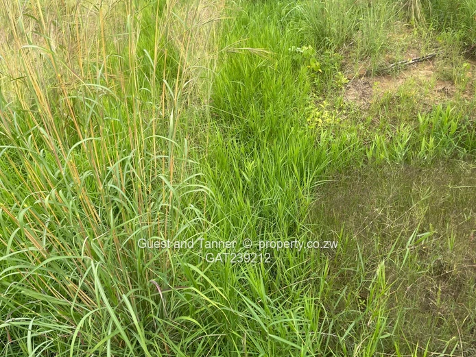 Residential Stand for Sale – Timire Ruwa (300sqm)