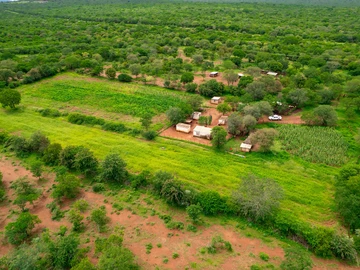 Farm & Agricultural Land