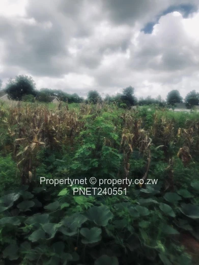 Prime residential stand 