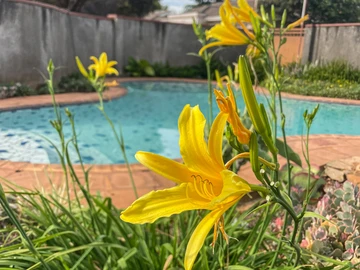 3 Bedroom Garden Flat