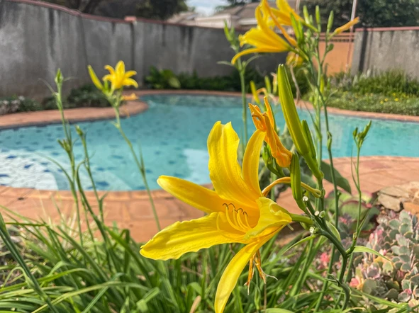 3 Bedroom Garden Flat