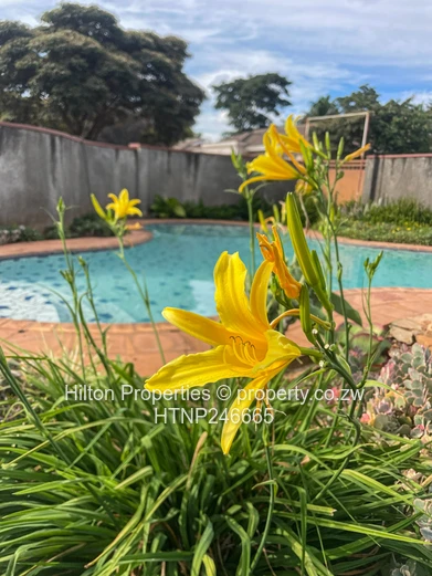 Fully Furnished 3-Bed Garden Flat with Pool in Highlands