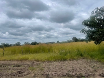 Farm & Agricultural Land