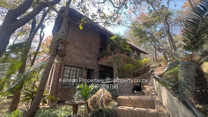 Character home with beautiful trees and good water