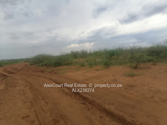 2-hectare (5-acre) Plot Up For Grabs!