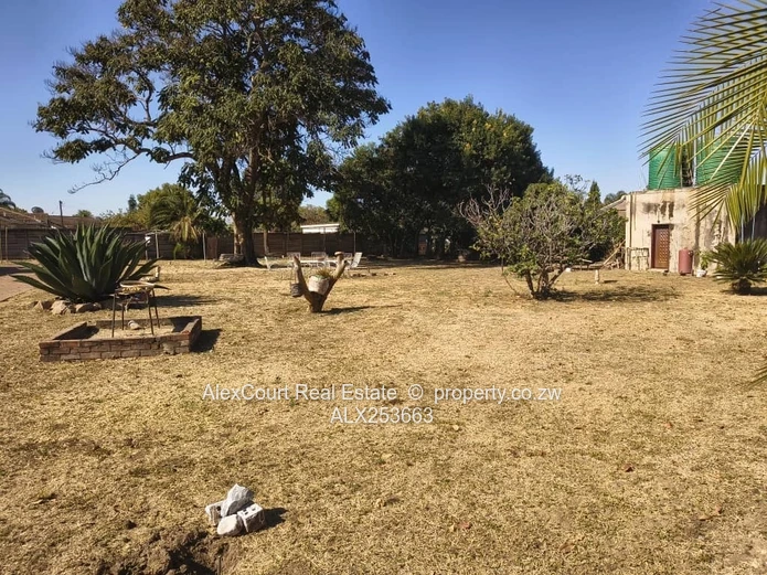 Mature Subdivided Stand On Sale
