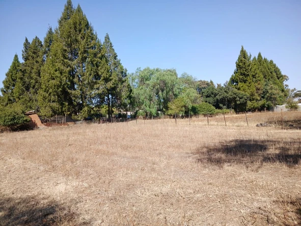 Farm & Agricultural Land