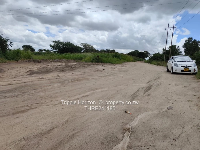 Msasa industrial stand