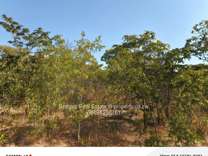 Awesoment investment