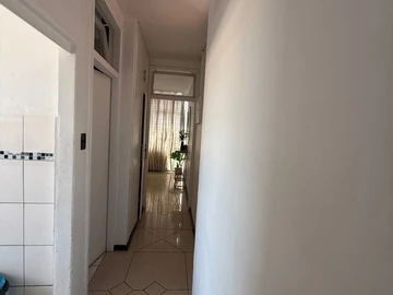 Flat & Apartment