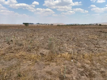 Commercial & Industrial Land