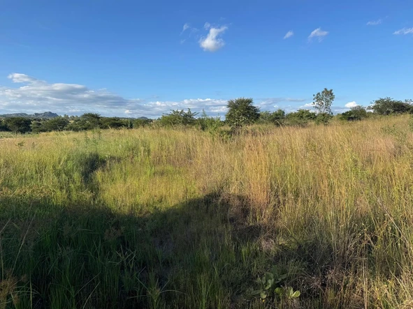 Commercial & Industrial Land