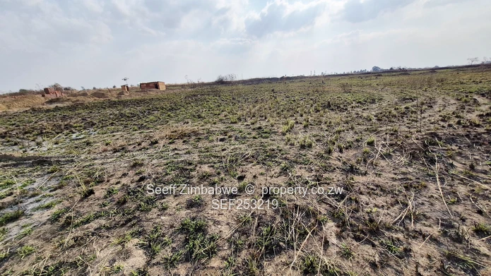 1200m² Nyabira Stand  (Sole Mandate)