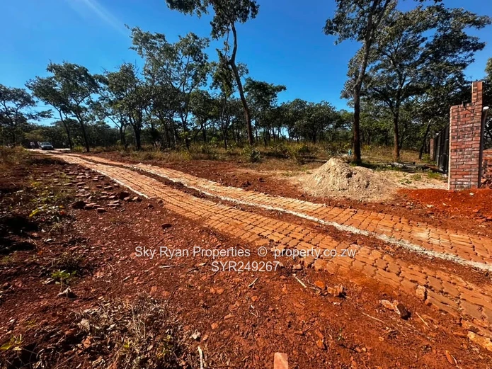 Shawasha Hills Stand For Sale