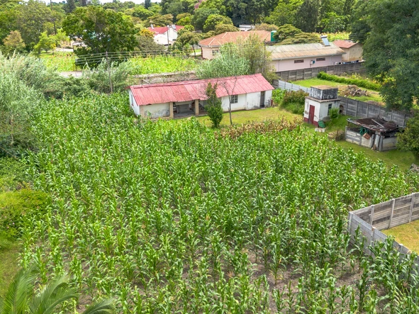 Land