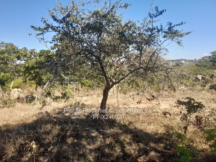 Crow Hill Residential Stand for Sale