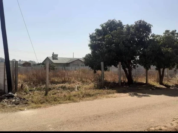 Stands & Residential Land