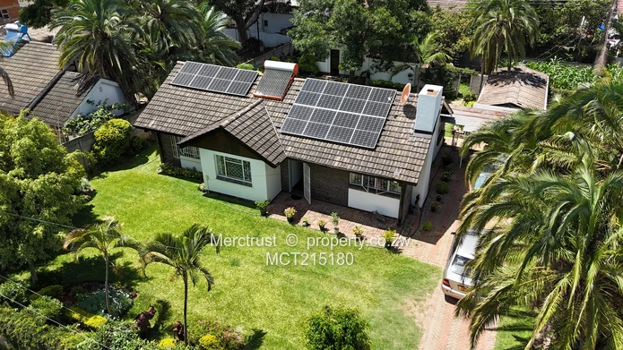 Absolutely immaculate! (Sole Mandate)