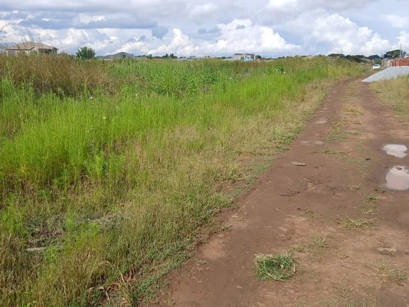 Stands & Residential Land