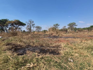 Stands & Residential Land