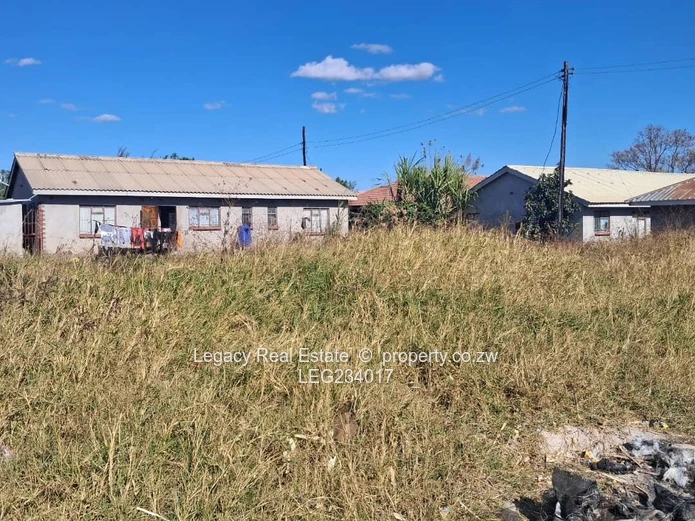 Ruwa Stands for Sale – Cranbrook Side